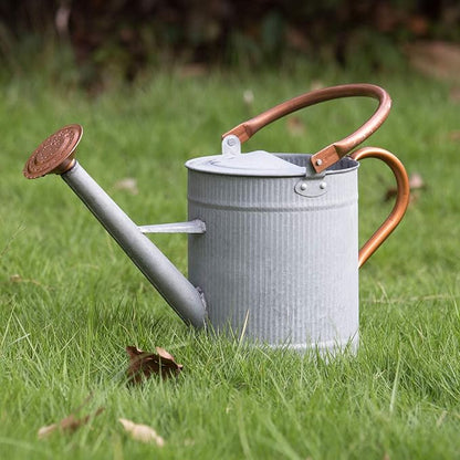 1 Gallon Metal Watering Can with Removable Spout, Galvanized Farmhouse Style