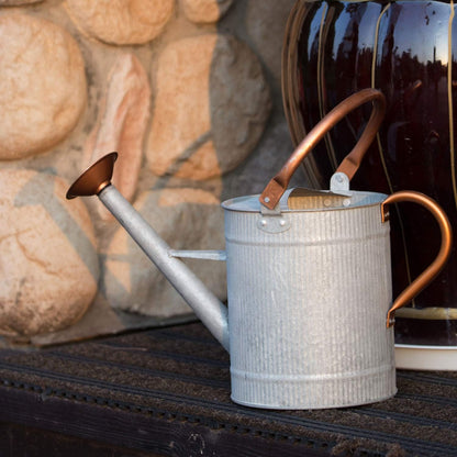 1 Gallon Metal Watering Can with Removable Spout, Galvanized Farmhouse Style