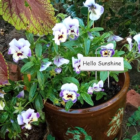 50-Pack Metal Plant Labels with 2 Pens, 10.6" Weatherproof Garden Markers